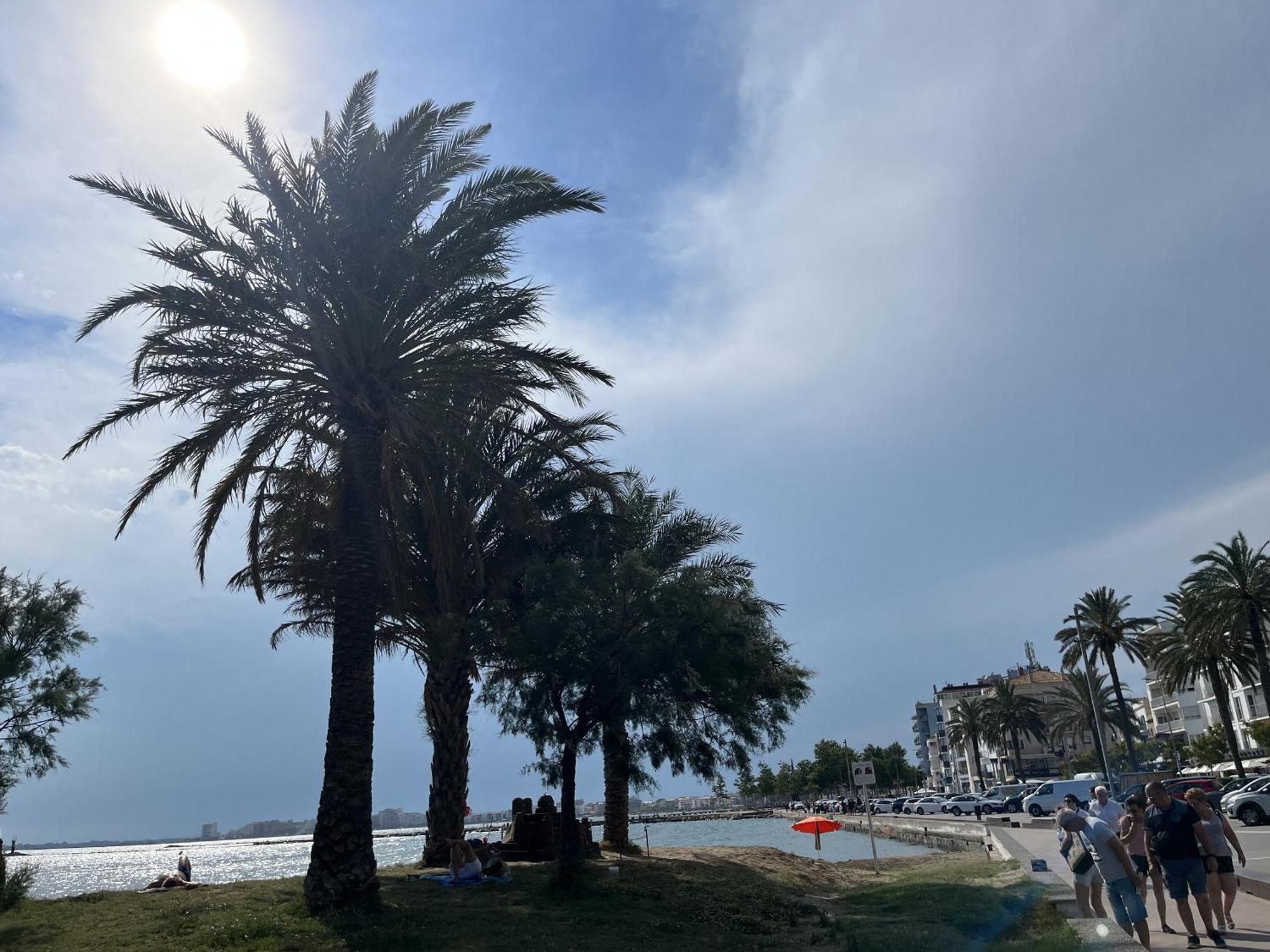 Castell Joncar,30 M De La Playa, 1Era Linea De Mar, Vista Al Mar Apartman Roses Kültér fotó
